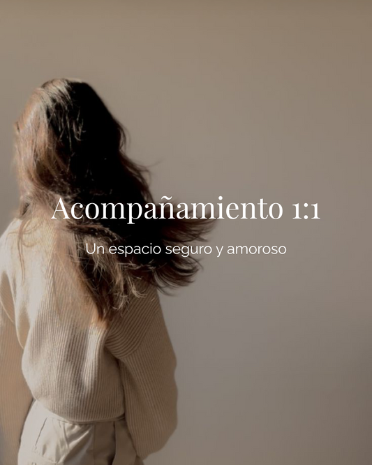 Acompañamiento 1:1